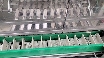 Counter Conveyor Pack