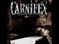 carnifex - hope dies with the decadent