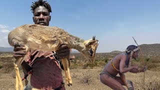Hadzabe Tribe | The Masters Of The Forest Made It Again