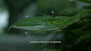 Позорище, а не жена!-свекровь узнала, что я работаю из дома, и усиленно настраивает мужа против меня