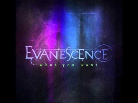 Evanescence - What You Want