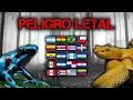 Los 10 animales Más LETALES de Latinoamérica