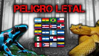 Los 10 animales Más LETALES de Latinoamérica
