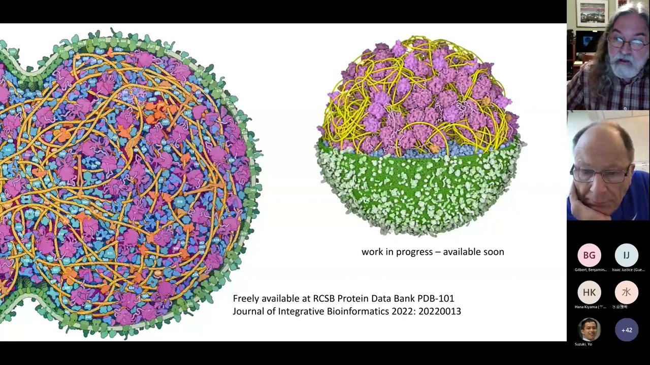 David S  Goodsell — Integrative illustration and modeling of JCVI syn3A