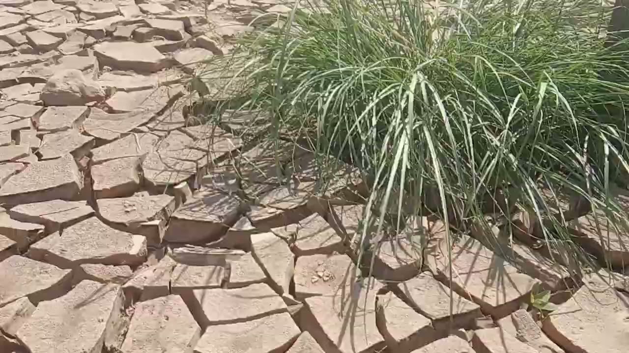 Walking to the Mekong River Beach Vientiane, Laos, 01/2025 Обзор прогулка до пляжа на реке Меконг