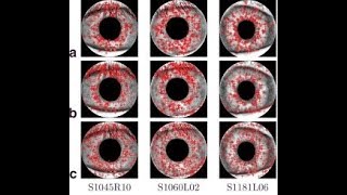 key points based feature extraction method for iris recognition - different image quality conditions Profile