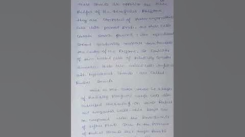 l Bsc ll sem anatomy of polytrichum