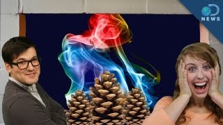 Make Insanely Colored Holiday Fires