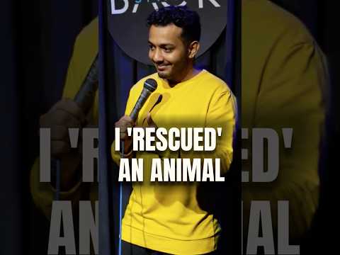 Rescued pets #rescue #pets #dogtraining #breeding #animals #politics #standupcomedy #masoomrajwani