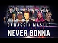 Dj Nassim - Never Gonna Give You Up | Nu Pop Mashup Video Mix