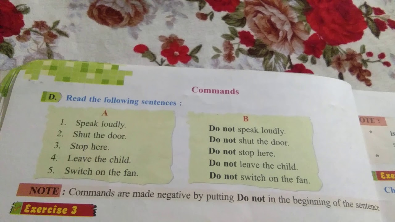 Command Class 3rd Class 3rd Chapter 3 English grammar part 2 (Commands) - YouTube