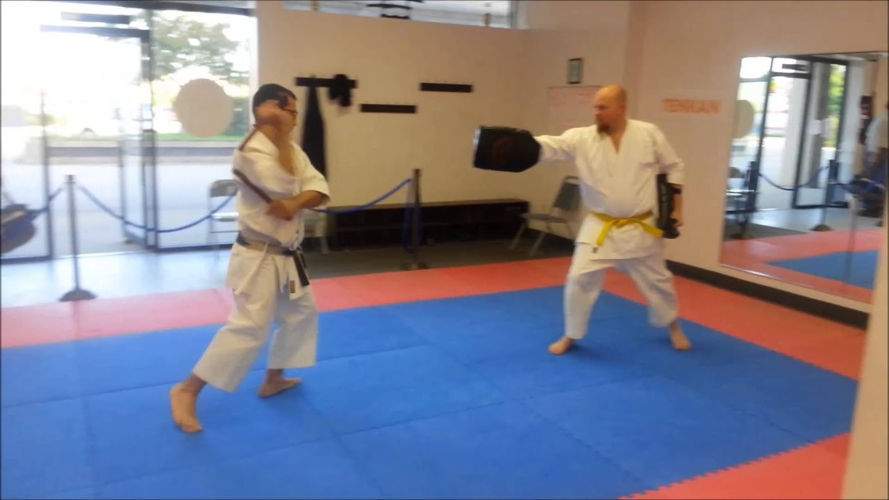 Functional Kobujitsu:  Nunchaku Pad drill