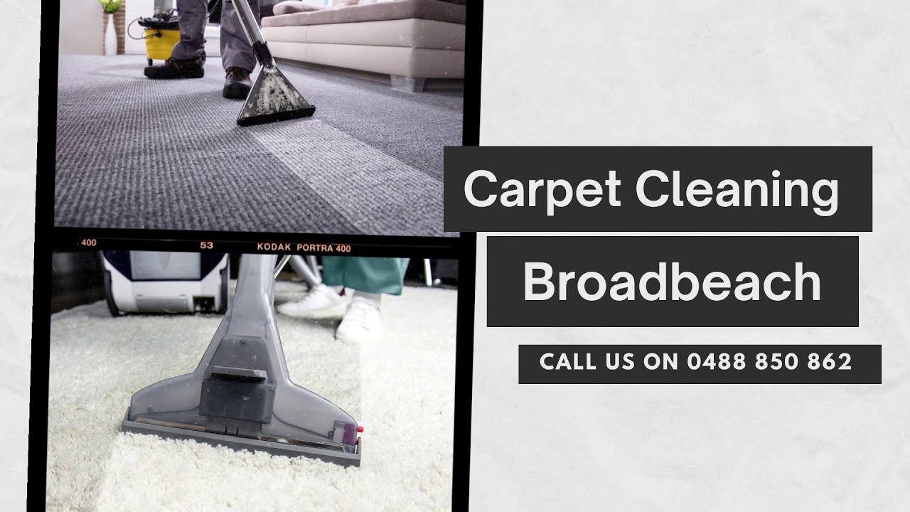 Reliable Carpet Cleaning Services in Broadbeach | | Carpet Steam Cleaning | Back 2 New Cleaning