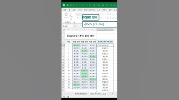 EXCEL_한 번만 등록된 정보 찾아내기! 중복된 항목 제거해서 하는 거 아니에요^^ #shorts #excel #엑셀