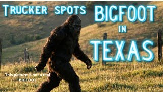 We Investigated the Bigfoot Sighting—Here's What We Found