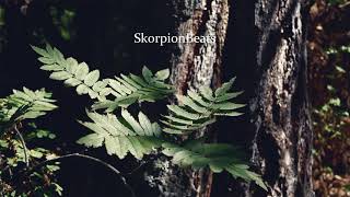 SkorpionBeats-Lost In Bass