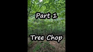 Building my off grid dream.  Part 1  Tree chop