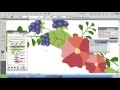 Sutterstock - работы на экзамен - векторные цветы - 3