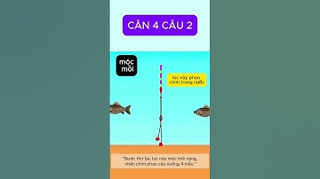Phương pháp cân phao hiệu quả- cân 4 câu 2 #shorts  #fishing #fish#cauca #caucagiaitri #caucachep