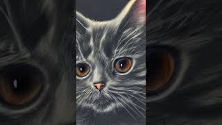 CAT AND STORM#shorts #STORM#RELAXATION#CHILL#SOUND#PEACEFUL#CAT#SWEET#MEDITATION#SLEEP