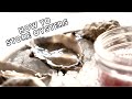 How to Store Oysters After Buying Them