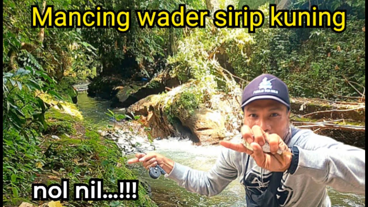 Mancing Wader Di Sungai Terasa Nolnil Mancing Ikan Regis Tkm