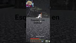 #edit de así son los esqueletos en bedrock