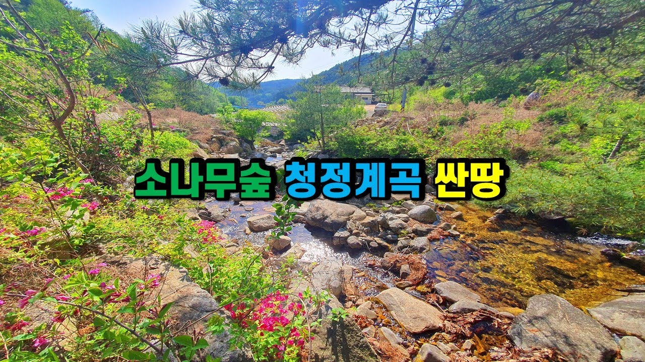 #계곡땅매매