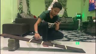 Experiment Lab 1 Linear motion DBS10012