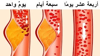 ما هي حمية داش ولماذا يعتبرها الأطباء أحد أفضل الأنظمة الغذائية؟