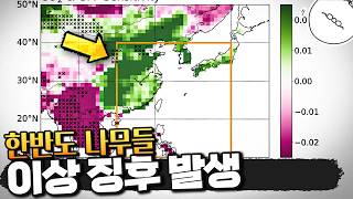 기후 재난이 발생할 수 있는 이상 현상이 나무에서 발견되었다.