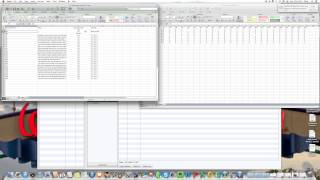 Dedoose adding and importing descriptors