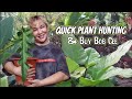 Quick plant visit to teacher vicencias garden  buying philodendron bob cee  more