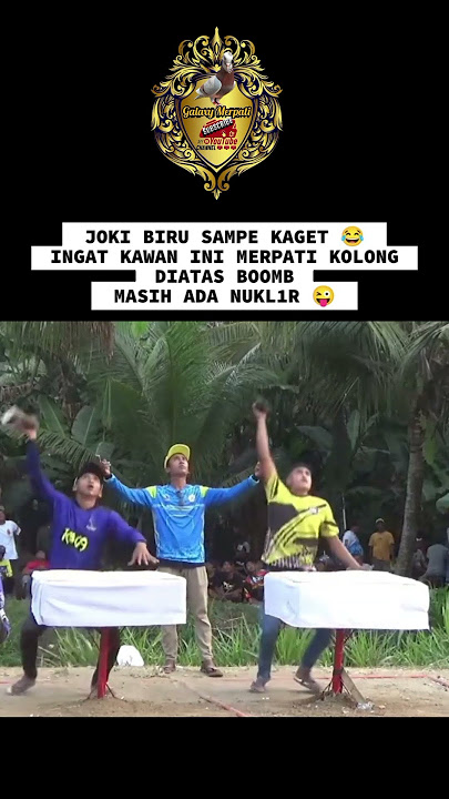 Ini burung apa roket #shorts #merpatikolong #merpatiplayer