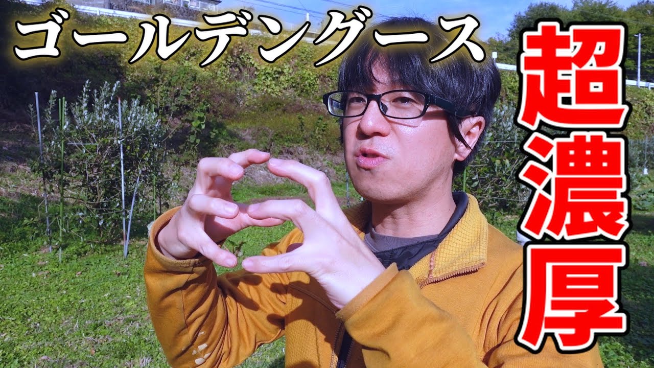 すっぱい系？】カカポを試食する！フェイジョアの品種紹介
