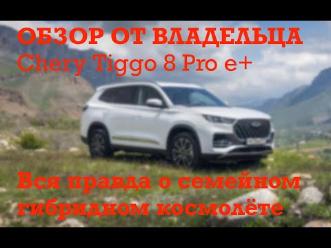 Обзор от владельцев Chery Tiggo 8 Pro e+ / Первый китайский семейный гибрид в России / ДЕСЯТЬ МЕСТ!