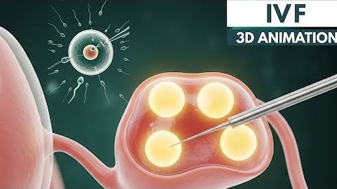 How IVF works | 3D Animation  @SciencebehindThings804 