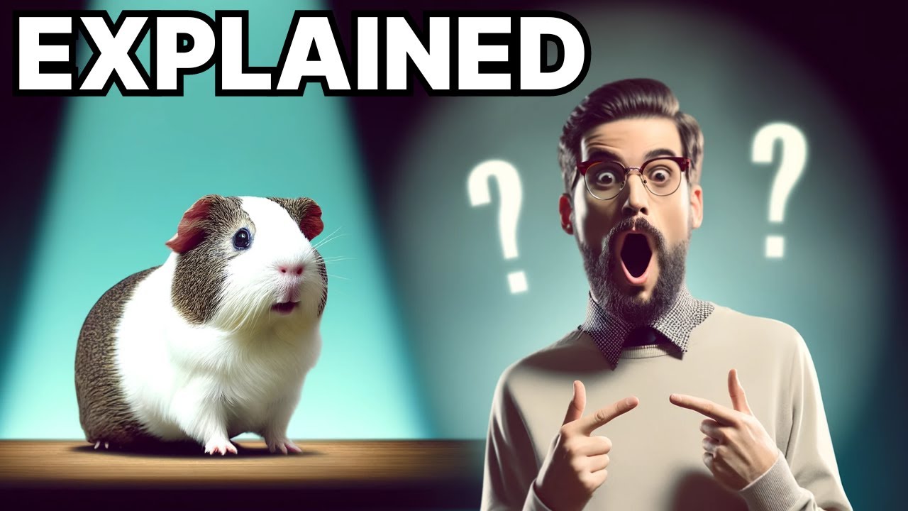 Do guinea pigs have sex?