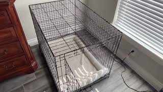 New World Newly Enhanced Single Door New World Dog Crate Review, Big enough for large dogs
