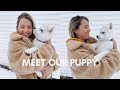 MEET OUR NEW PUPPY! | The First Weekend Home