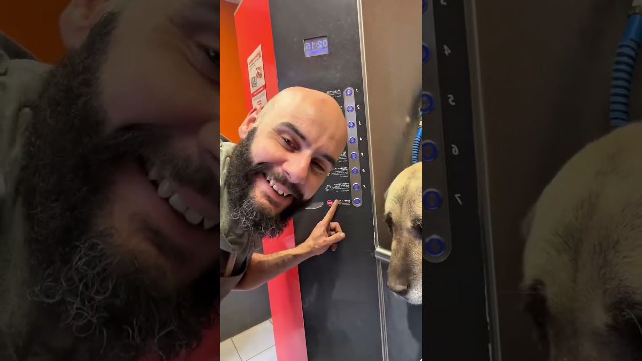 خدمة متوفرة بيديا