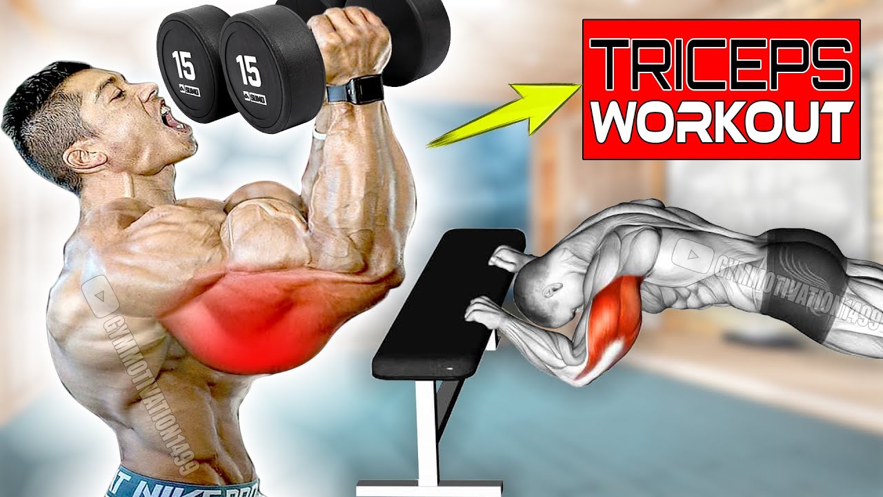 7 Exercises to Get Huge Triceps Fastest - YouTube