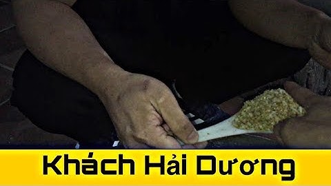 Dúi trung quốc | Dúi mốc đại | Khách đến bắt những con Dúi giống chất lượng | Chuột Tre 360