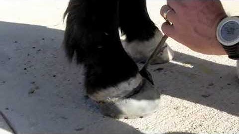 Easyboot Glue-On Removal