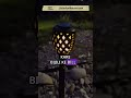 Epyz Solar Flame Light | Garden Decor | Outdoor Lights #solarlights  #solarfornature