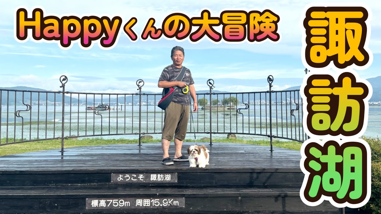 [シーズー🐶・くるま旅🚗] Happyくん諏訪湖で散歩