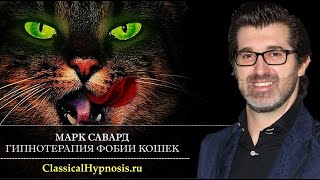 Гипнотерапия фобии кошек. Лечение айлурофобии в гипнозе. Полный сеанс и отзыв