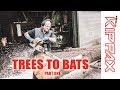 From Trees to Cricket Bats   - Part One How We Produce Clefts