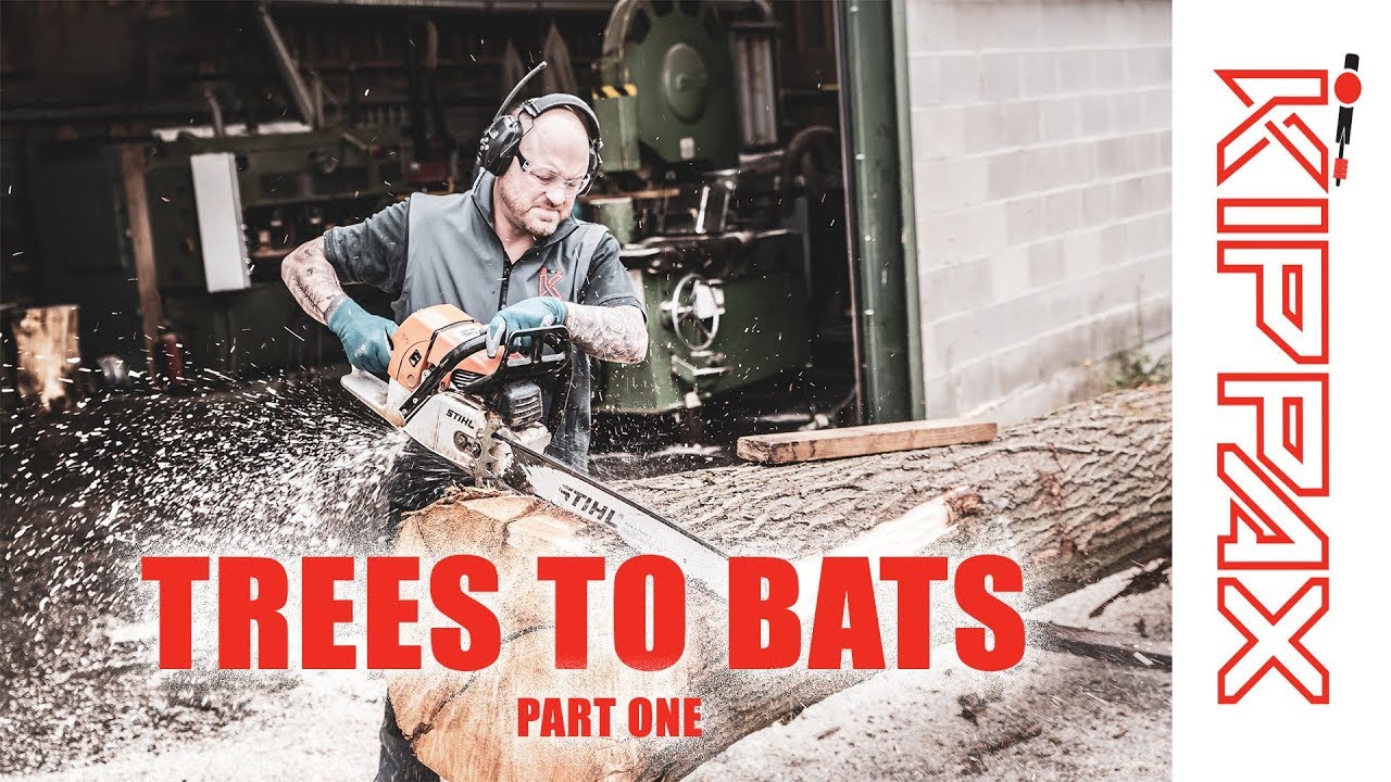 From Trees to Cricket Bats Part One How We Produce Clefts YouTube