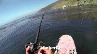 Gene manako and myself fishing big sur from our surfboards. conditions
were amazing! another all time session...